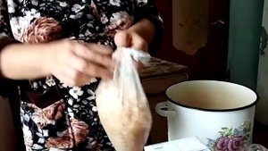 Обзор еды бездомным животным