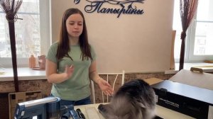 Распаковка Беспроводного пылесоса Polaris PVCS 7000 Energy WAY AQUA +тест работы