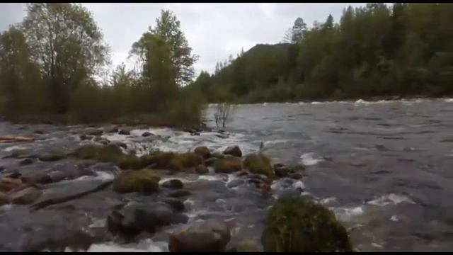 Мужская компания