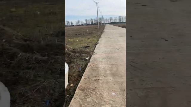 Геологические изыскания грунтов