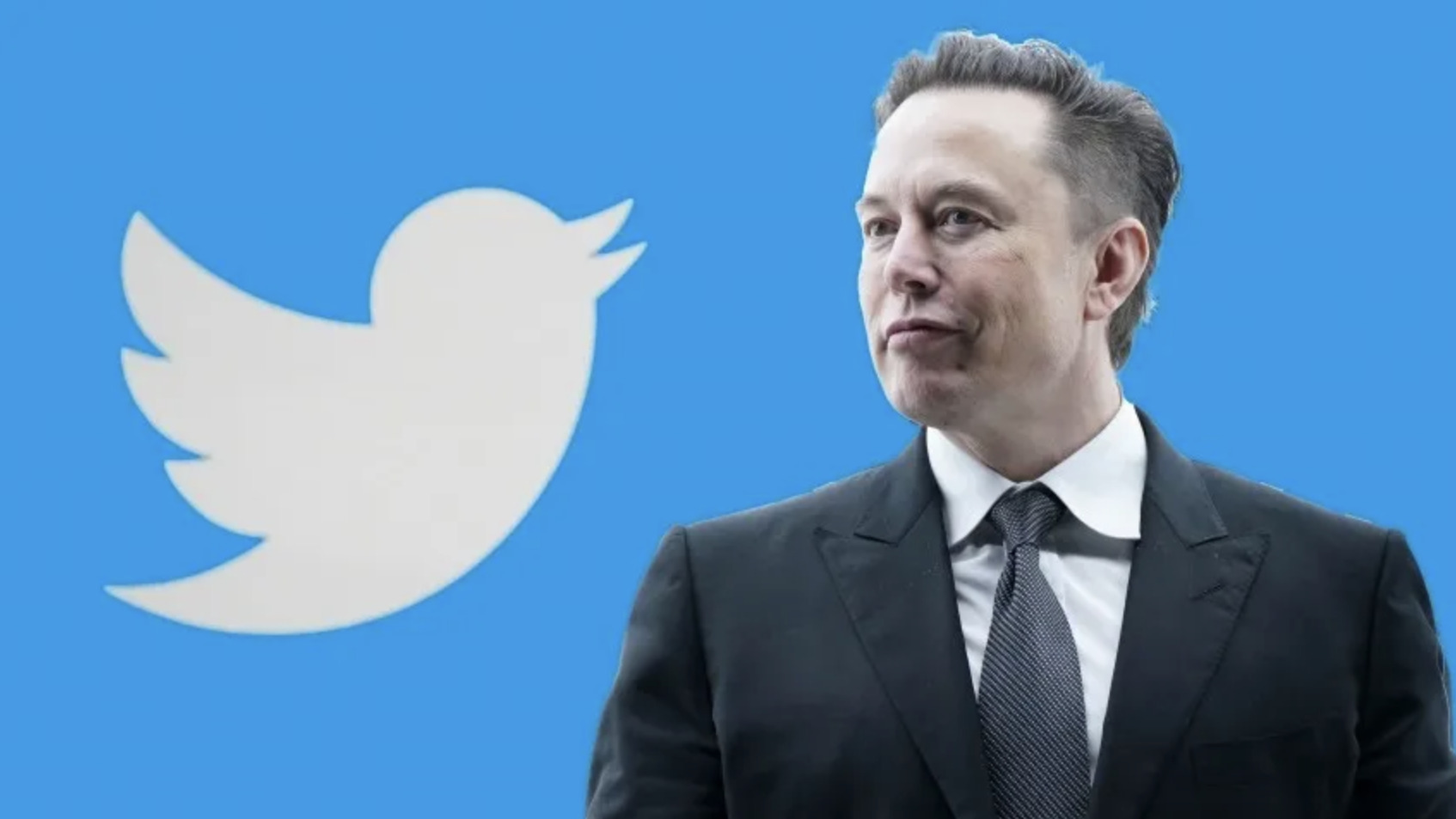 Птичка вне клетки: сделает ли Илон Маск Twitter вновь свободной соцсетью