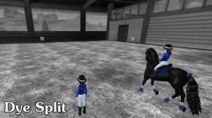 Star Stable Dressage: Basics