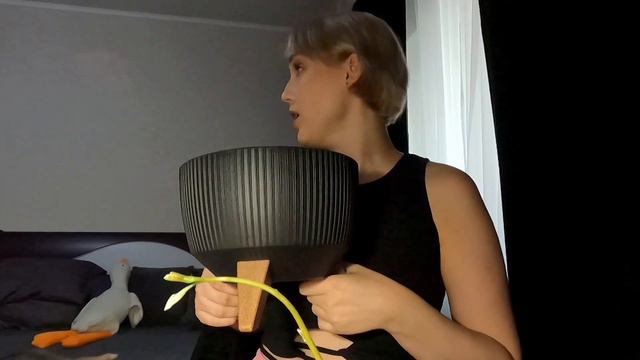 Vlog № 2: Создаю бонсай из авокадо •мини дерево. Делюсь планами на новые видео. Вечер из моей жизни смотреть онлайн