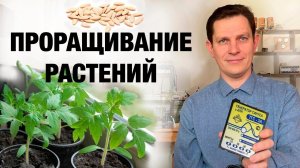 ТГС 3А! Проращивание растений и правильное Лечение кожных заболеваний при помощи Катушек Мишина!