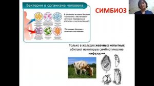 Биотические отношения. Урок биологии. 5 класс. Учитель Баштанник Н.Е.