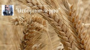 Н.С. Лесков - Отборное зерно