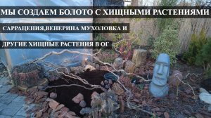 МЫ СОЗДАЕМ БОЛОТО С ХИЩНЫМИ РАСТЕНИЯМИ/Саррацения ,венерина мухоловка в грунте/ХРОНИКИ МОЕГО БОЛОТА