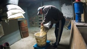 Корм для свиноматок / проблемы у супоросной свиноматки