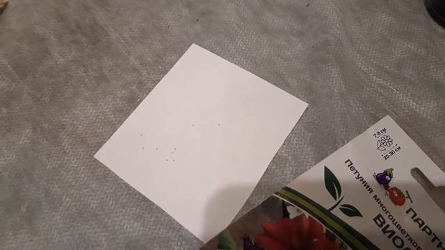 Поздняя посадка - пышное цветение.Мартовская посадка петунии,лобелии. Мини парник. Проще не бывает!