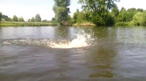 Сальто в перёд в воде