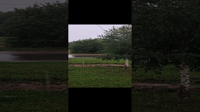 Шум дождя
