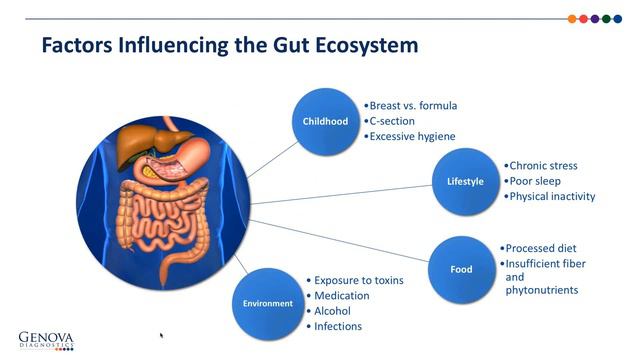Arthritis: Taming the Flame by Treating Oxidative Stress смотреть онлайн