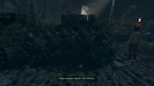 SHADOW OF THE TOMB RAIDER прохождение ► ЗАБРОШЕННЫЙ НЕФТЕЗАВОД ► #19