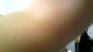 Как сделать лошадь из фольги?