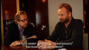 Стинг - о своем опыте ayahuasca