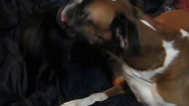 MVI 3239 смотреть онлайн