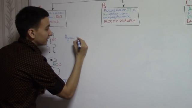 Гиперчувствительность 2 типа  