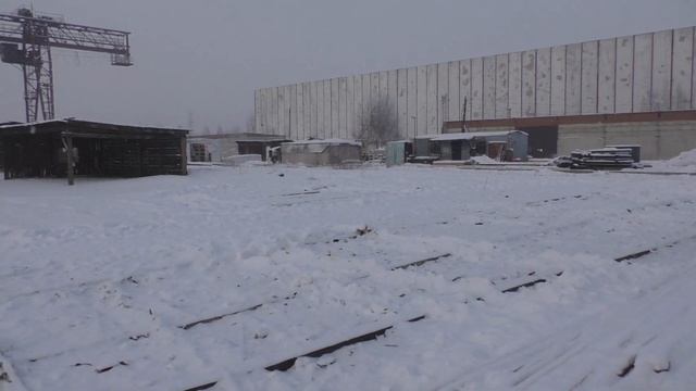 Куда девался лес? не нашел горбыля. смотреть онлайн