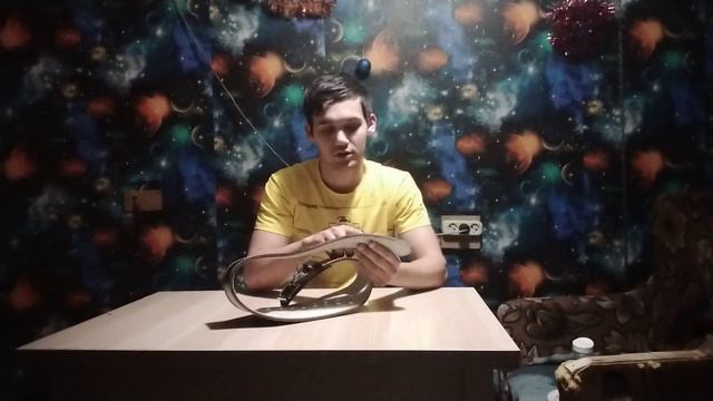 Атлетический пояс TORNEO смотреть онлайн