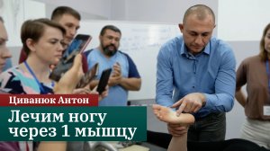 Лечим ногу через одну мышцу. Прикладная кинезиология. Циванюк Антон