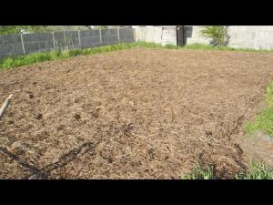 Простой и без труда,но эффективный метод выращивания картофеля