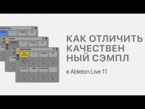 Как отличить качественный сэмпл в Ableton Live 11 [Ableton Pro Help]