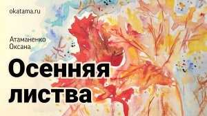 Осенняя листва 2.11.23 / www.okatama.ru