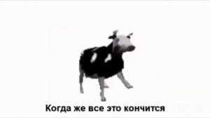 ПЕРЕВОД - ПОЛЬСКАЯ КОРОВА ТАНЦУЕТ (полная версия Gdzie jest biały węgorz)