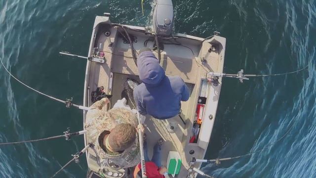 King Salmon Trolling