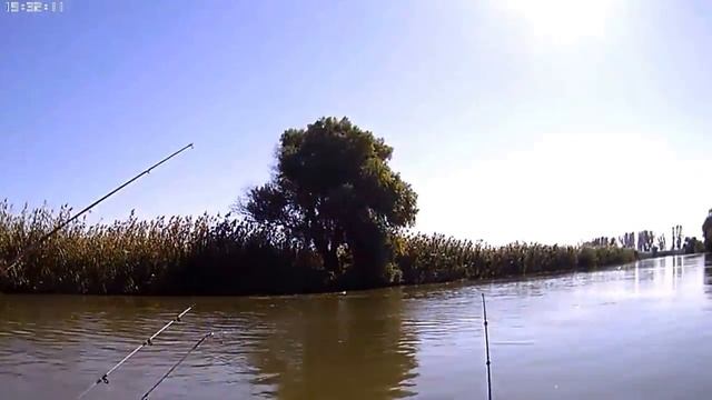 Ловля сазана на макуху 2.??? смотреть онлайн