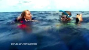 Top 5 фильмов про акул