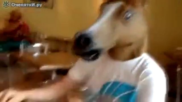 Не в коня корм 1 смотреть онлайн