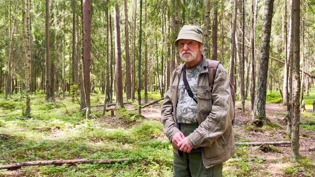 Орнитологические экскурсии в окрестностях Санкт-Петербурга. Часть 5. Ястреб-тетеревятник смотреть онлайн