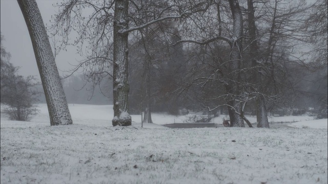 Зая и Заяц смотреть онлайн