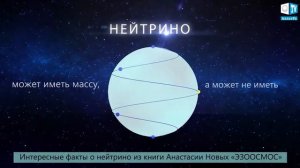 Элементарные частицы   Нейтрино