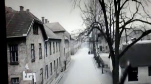 LILIANA SEGRE Sopravvissuta all'olocausto nominata Senatrice avita