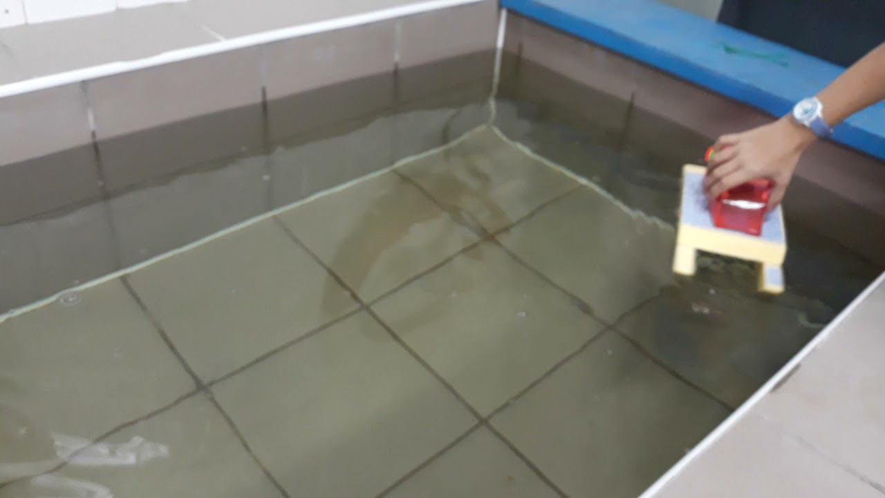 Запуск аэроглиссеров