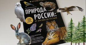 Природа России: от Арктики до пустыни