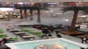 В Планете загорелась пальма