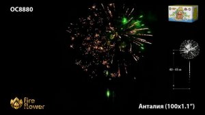 ОС8880 Анталия