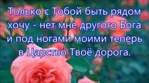 Со своими радостно мне.Поют Егор и Наталия Лансере.