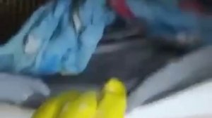 Как избавиться от плесени в стиральной машине автомат в домашних условиях на резинке