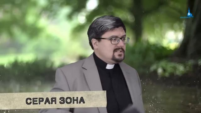 СЕРАЯ ЗОНА
