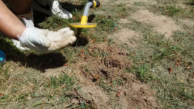 Монетное разнообразие! Большое путешествие в поисках сокровищ! Золотой Трофей! Коп в Германии!