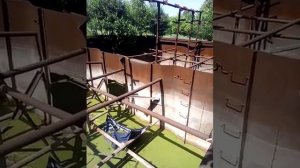 Выращивание пиявок медицинских в домашних условиях