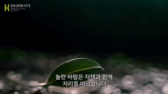 Harmony : Me-to-We смотреть онлайн