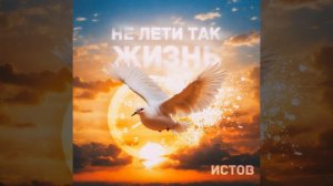 GODRIC V.E.G. | ИСТОВ - Не лети так жизнь (2024)