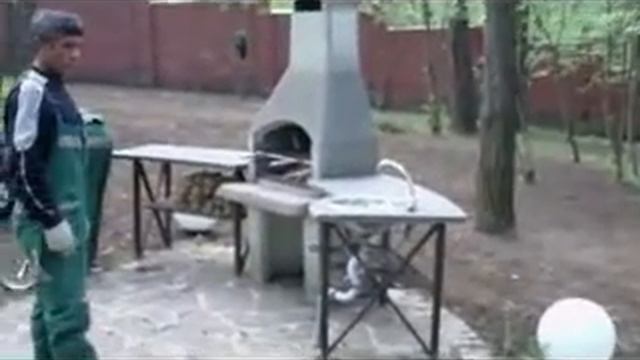 Поверхностная корневая система у газона