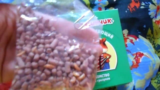 Чем кормить хомяка? Часть 2. Лакомства смотреть онлайн