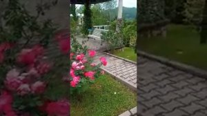 Санаторий Голубая горка